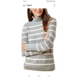 Talbots silver metallic stripe ribbed turtleneck sweater 3X plus sz cozy shimmer